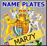 name number plates